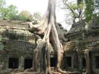 Agence de voyage en ligne au Vietnam 