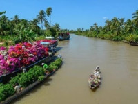 Quel temps fait-il au Vietnam en Janvier ?