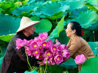 Le village de la soie et de lotus de Phung à My Duc Hanoi : Héritage, artisanat et innovation