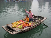 Quel temps fait-il au mois de Juin au Vietnam ?