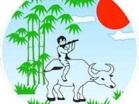 Questionnaire de satisfaction VIETNAM ORIGINAL TRAVEL 