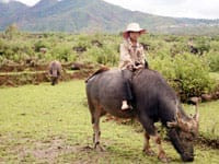 Séjour au Vietnam et Cambodge 2 semaines