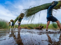 Où partir au Vietnam en Septembre ?