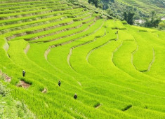 Sapa Bac Ha