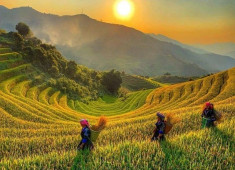 Hoang Su Phi