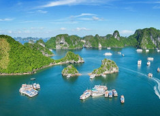 Hạ Long 