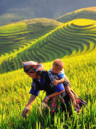 Circuit Vietnam 15 jours