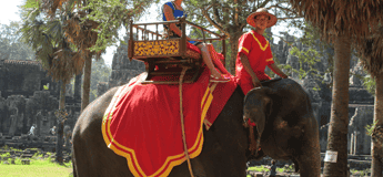 Excursion une semaine au Cambodge 