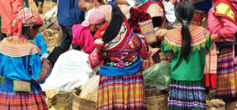 Circuit Vietnam 15 jours 