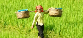 Trek Pu Luong en 10 jours