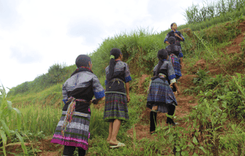 Trek à Sapa 3 jours 