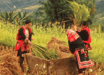 Circuit Vietnam 2 semaines