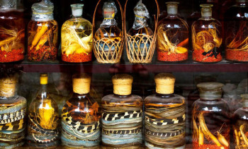 Alcool de serpent au Vietnam : entre tradition, croyances et curiosité exotique