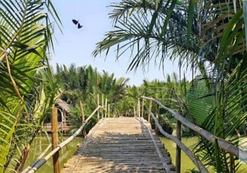 Cam Thanh - Balades dans la jungle