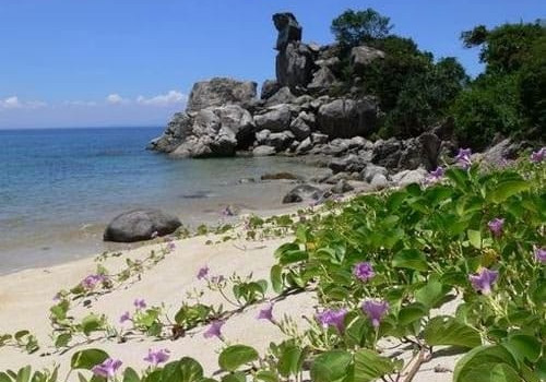 Iles Cham - Littoral