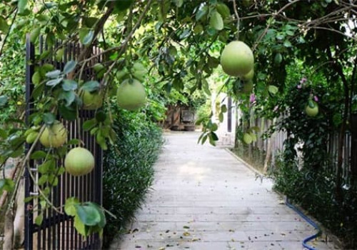 Village de Thuy Bieu