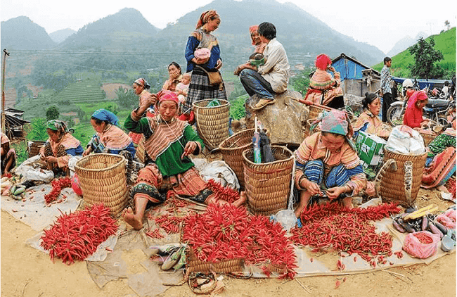 Novembre est début de l'hiver