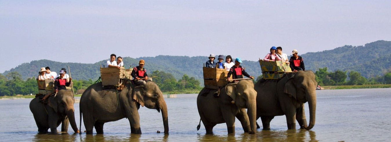 Balade à dos éléphant