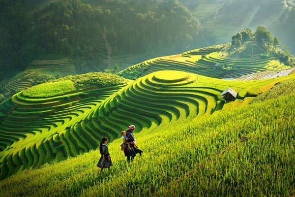 les-rizieres-en-terrasse-a-Mu-Cang-Chai