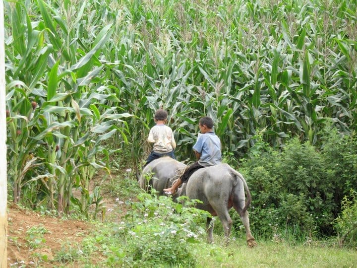 Mai-Chau, un-havre-de-paix-au-Vietnam