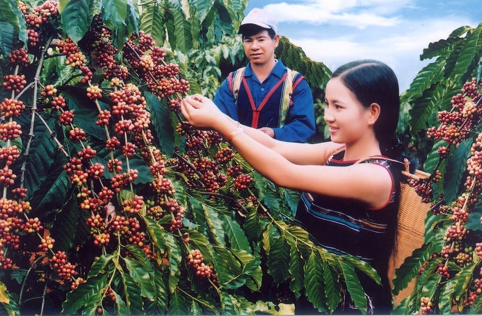 Le-Cafe-Vietnamien