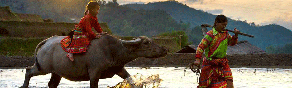 Ethnies-H'mongs-a-Ha-Giang