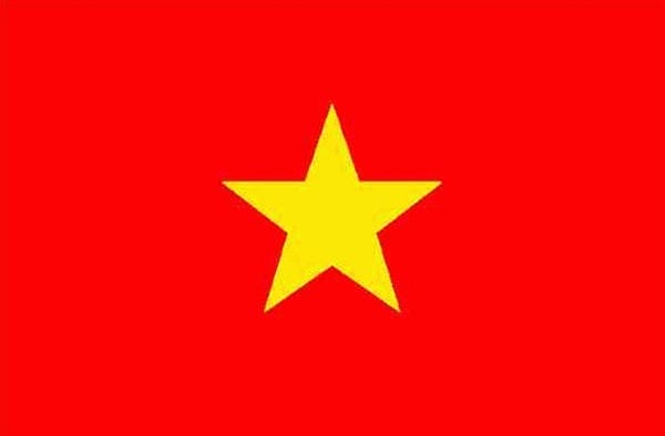 La-fierté-des-Vietnamiens-du-drapeau-de-leur-pays
