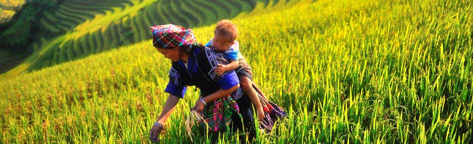 Les-actions-humanitaires-à-Mu-Cang-Chai