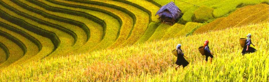 Agence-du-tourisme-Vietnamien