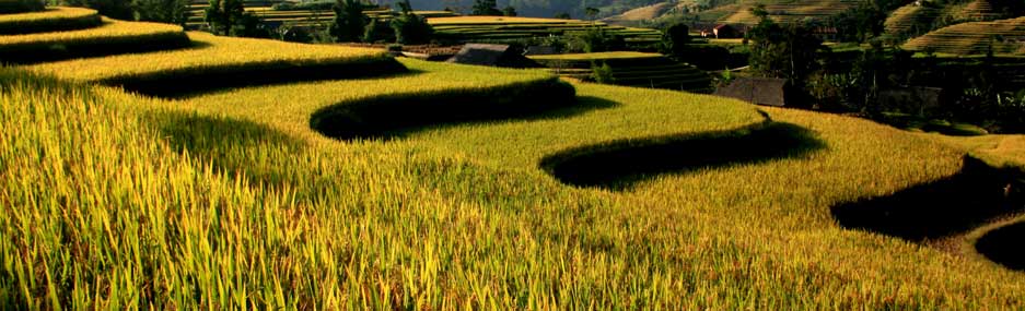 Sapa - Bac Ha