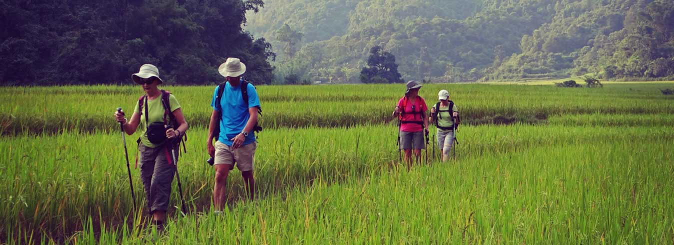 Trek au Nord Vietnam 