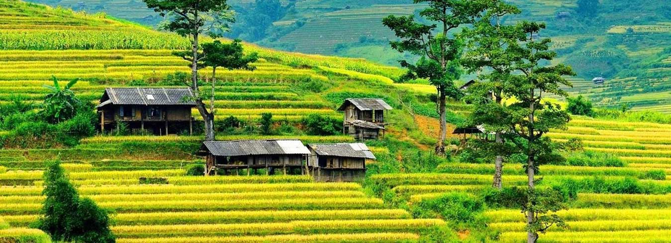 Trek Nord Vietnam avec une agence locale 