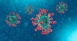 Corona Virus
