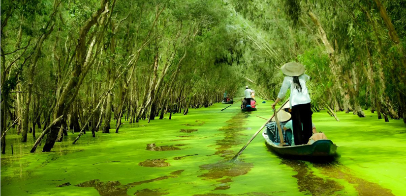 Dong-Thap-saison-pluie