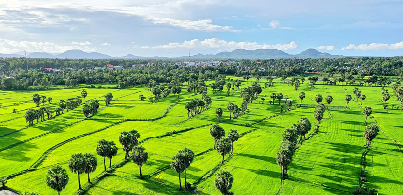chau-doc-saigon-pluie