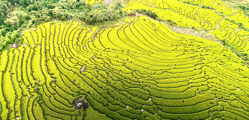 Excursion-a-Binh-Lieu