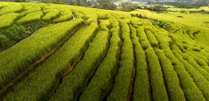 Binh-Lieu-Quang-Ninh