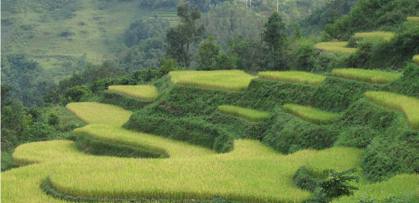 La-bataille-historique-de-Coc-Xa