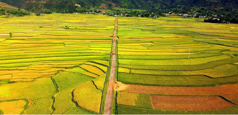 Les-rizieres-a-Dien-Bien-Phu