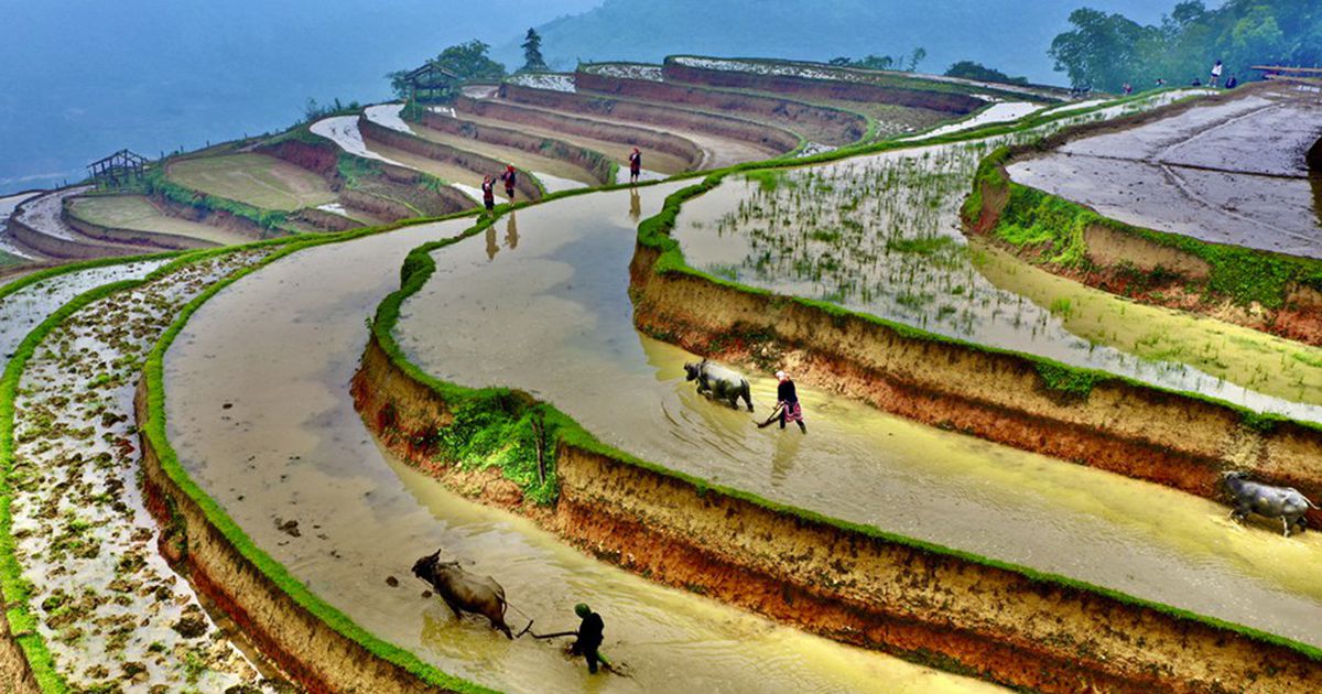 Boucle-Ha-Giang-scooter