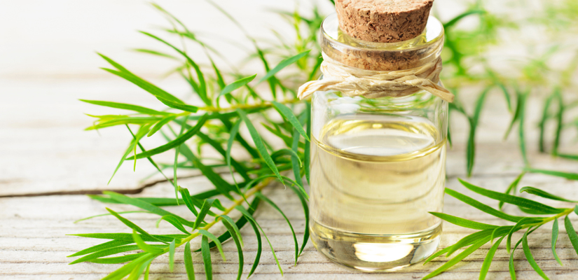 Qu'est-ce-qui-est-interdit-de-ramener-du-Vietnam