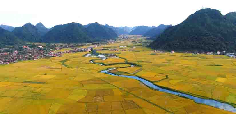 Les-rizieres-a-Lang-Son