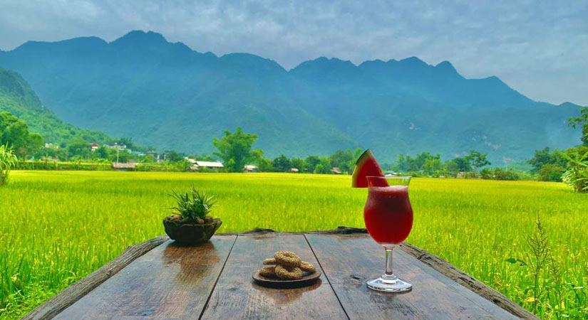 Les-rizieres-a-Mai-Chau