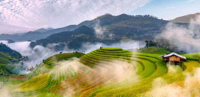 Mu-Cang-Chai-Yen-Bai