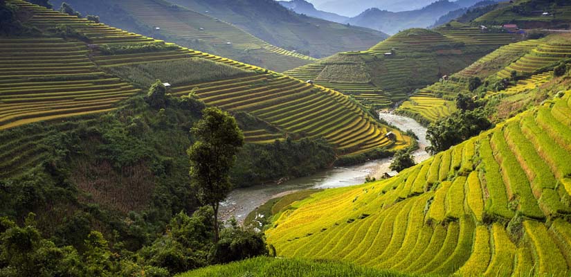 Randonnee-a-Mu-Cang-Chai