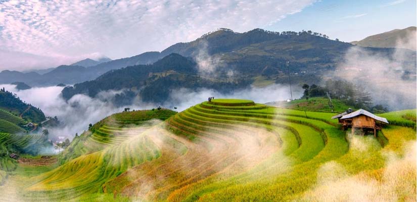 Mu-Cang-Chai-Yen-Bai