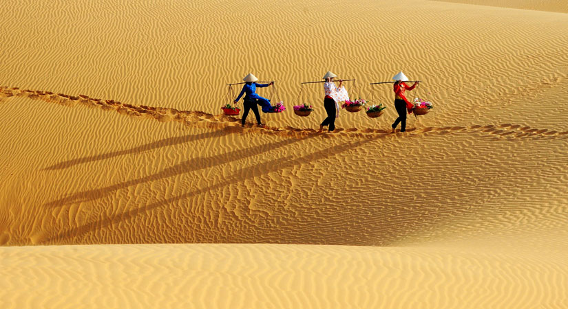 dunes-de-sable-rose-a-Mui-Ne