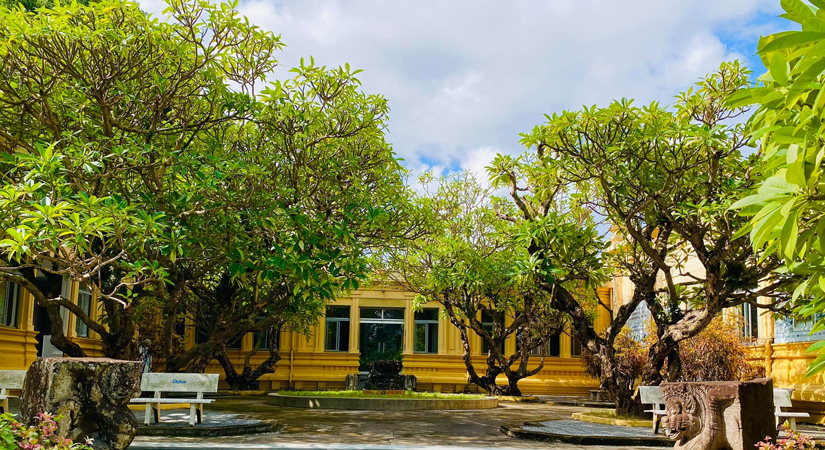 Musee-de-Cham-a-Danang