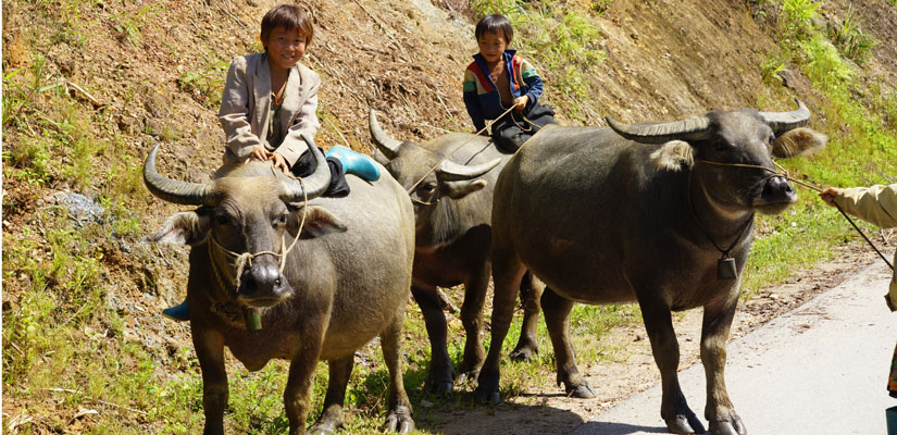 Excursion-a-Nghia-Lo