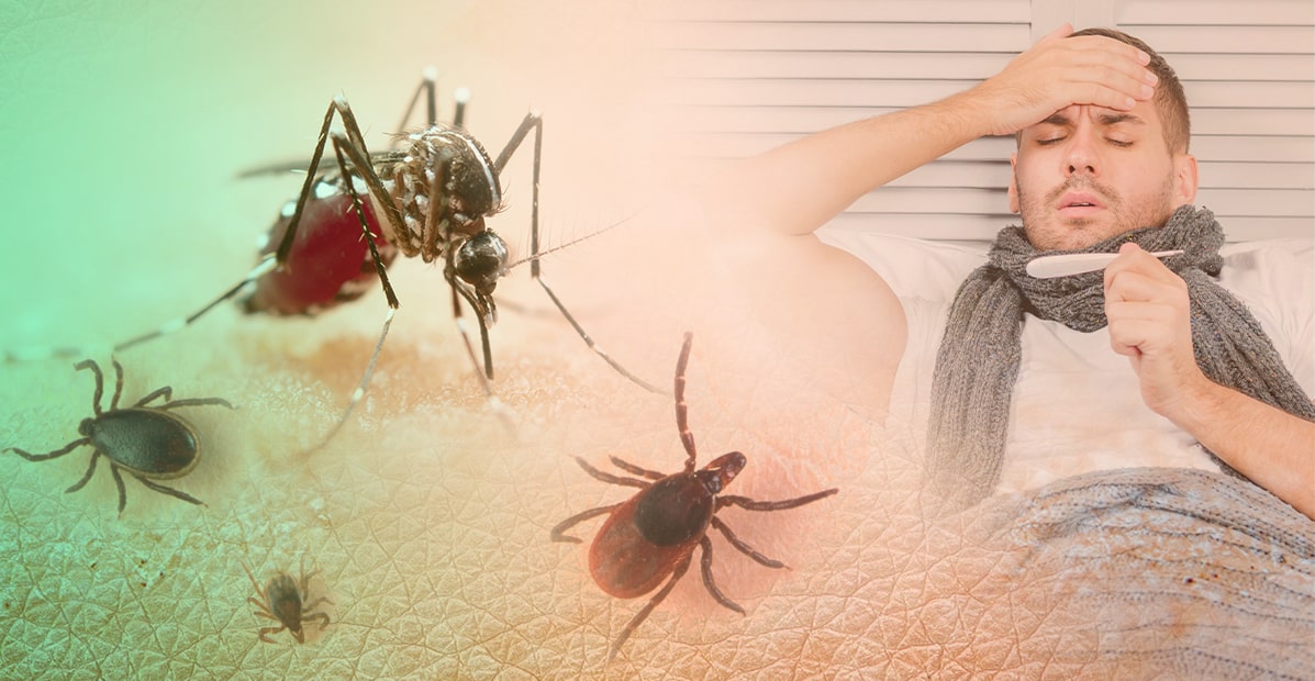 Zones-de-dengue-au-Vietnam